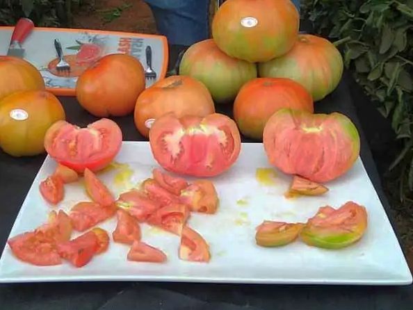 tomate de el Perello