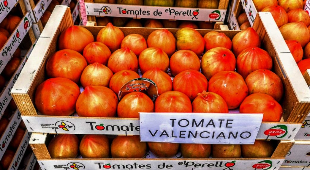 tomates de el Perello