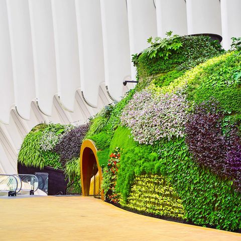 jardin vertical mas grande caixa forum valencia