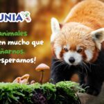 Faunia Madrid