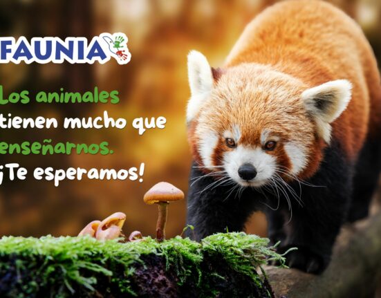 Faunia Madrid