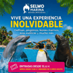 Selwo Marina Benalmádena: Entradas, horarios y guía para visitar el parque